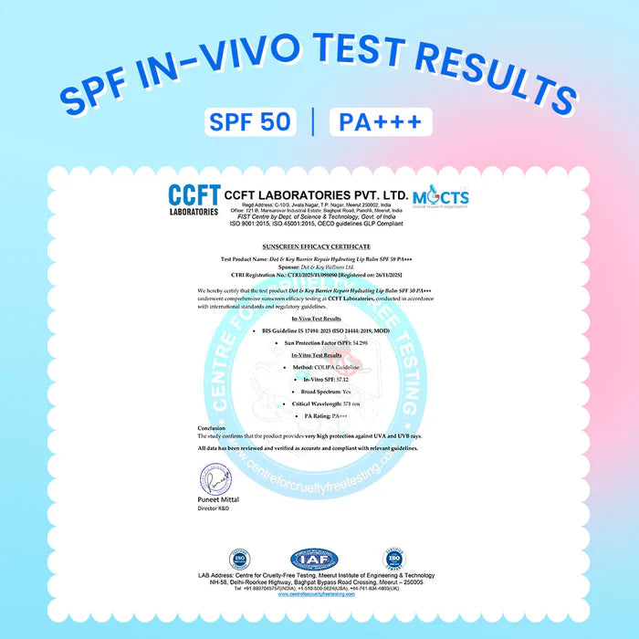 Dot & Key Blueberry Bliss Lip Balm - 4.5g